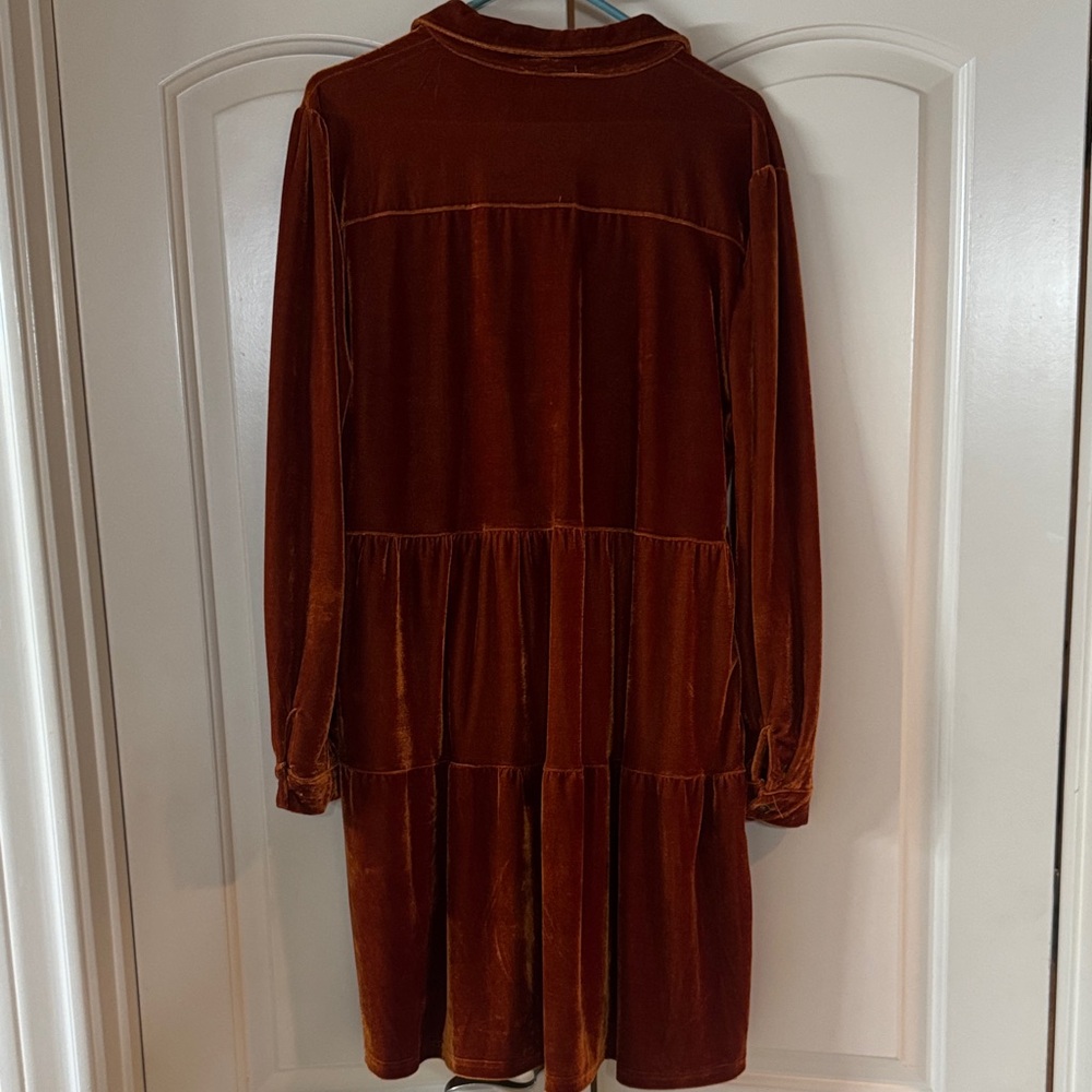 Umgee Burnt Orange Velvet dress - Picture 4 of 4
